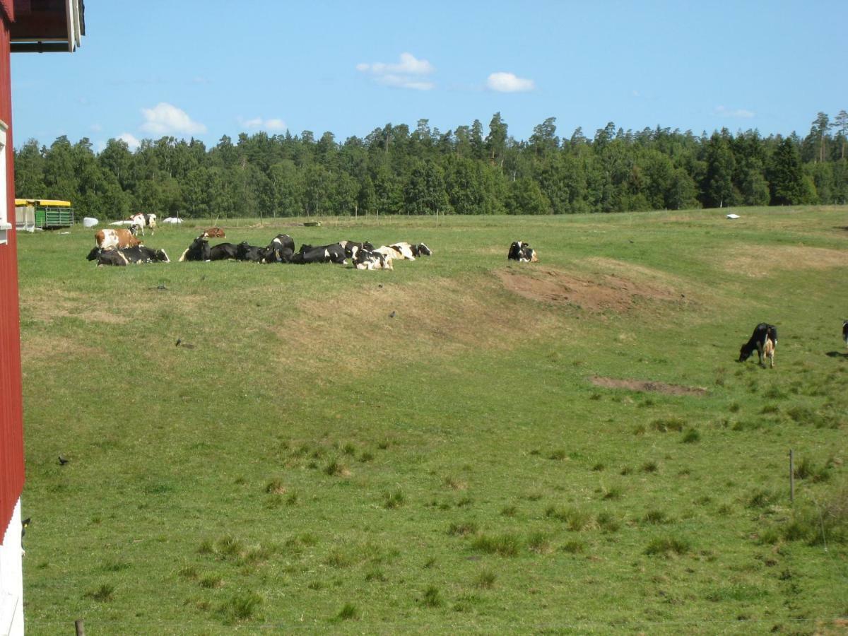Stixered Fegen - Naera Till Ullared Exterior photo
